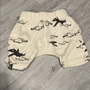 Mini & Maximus shark shorts